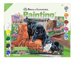 PEINTURE À NUMÉROS JUNIOR LARGE - PROBLÈME AU JARDIN

